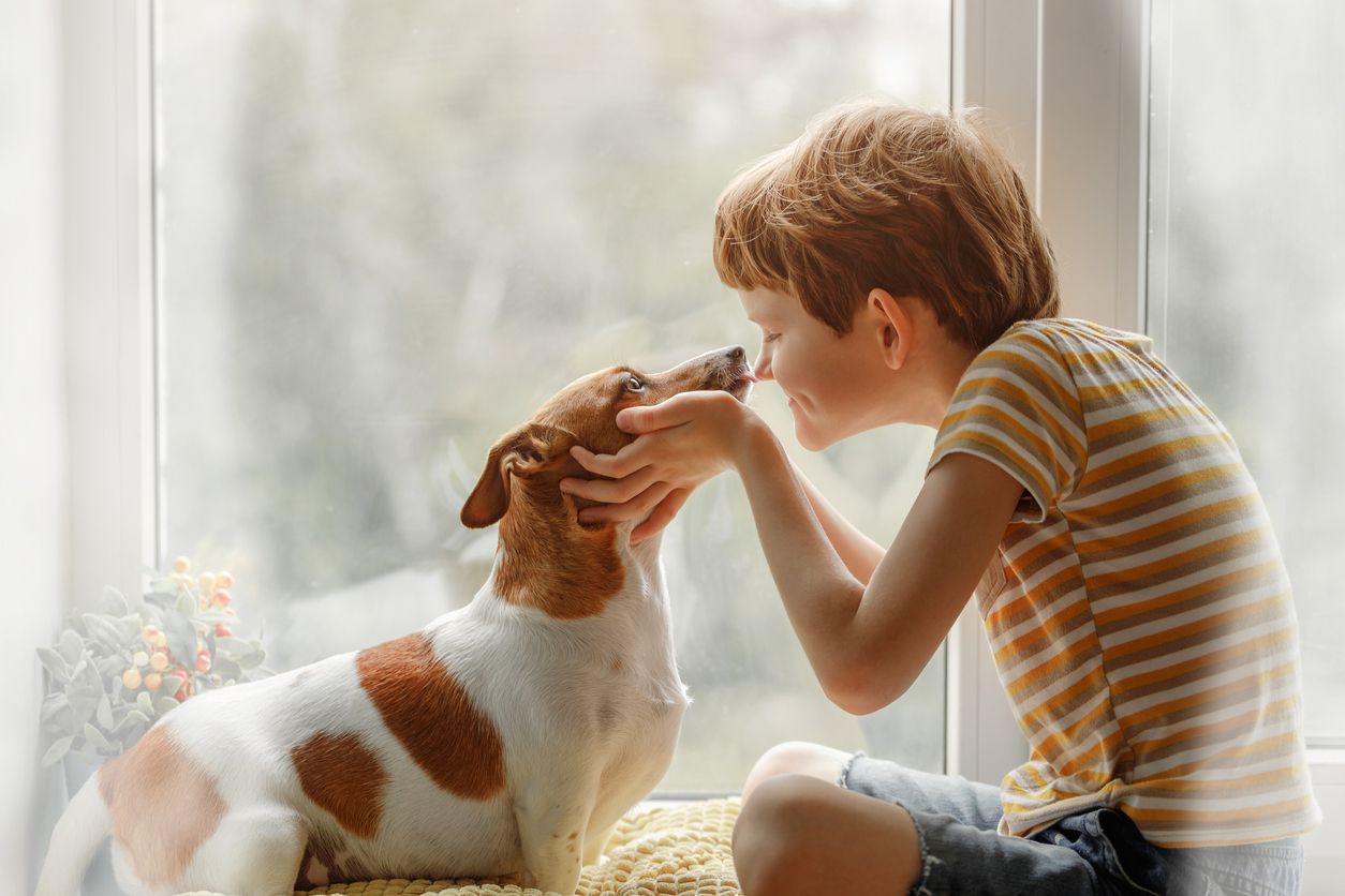 Un nen acaricient un gos de mida mitjana davant d'una finestra